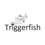 Triggerfish Critical Review