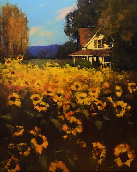 sunflower season oil 48x60